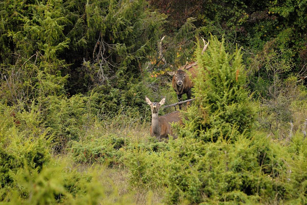 Sogno  (fotoracconto)